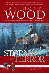 Book Cover: Storm of Terror