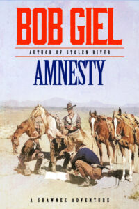Book Cover: Amnesty
